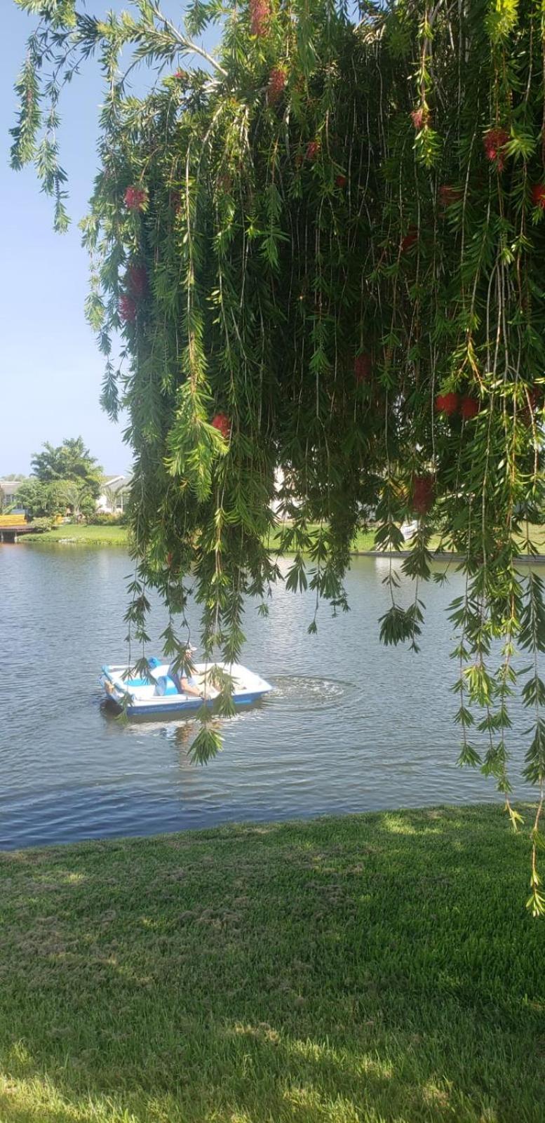 Apartamento Near Clearwater And Tarpon Spring With Water View Holiday Exterior foto