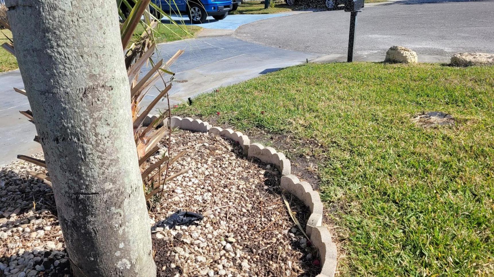 Apartamento Near Clearwater And Tarpon Spring With Water View Holiday Exterior foto